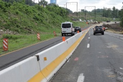 June 2021 - Clearing along the ramp from U.S.1 to Business U.S.1.